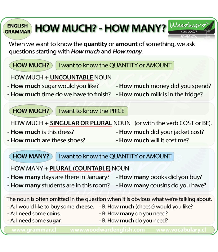 Cách sử dụng How much, How many