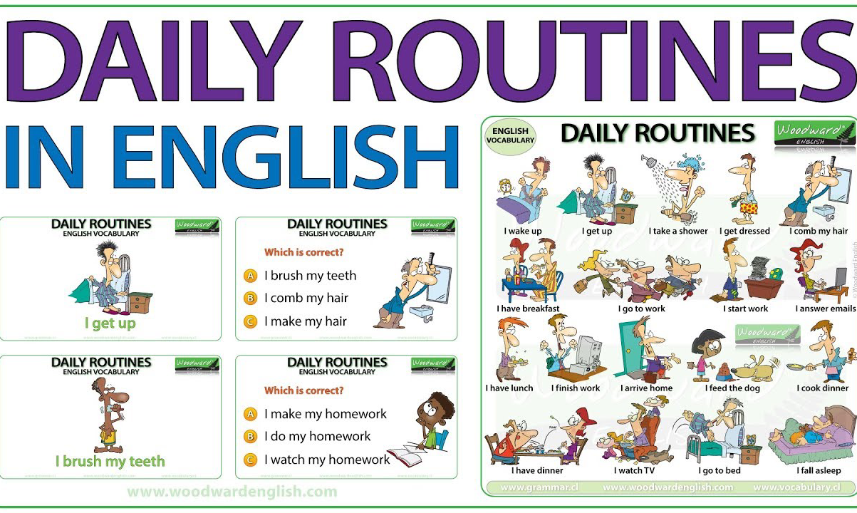 Từ, cụm từ tiếng Anh mô tả thói quen, lịch trình