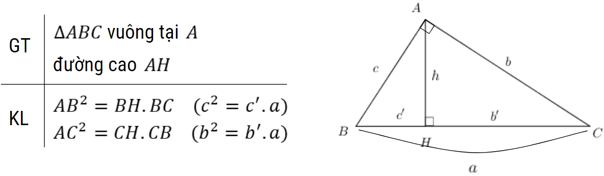 hệ thức lượng trong tam giác lớp 9