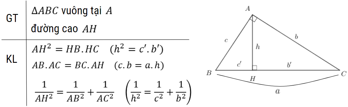 hệ thức lượng trong tam giác lớp 9