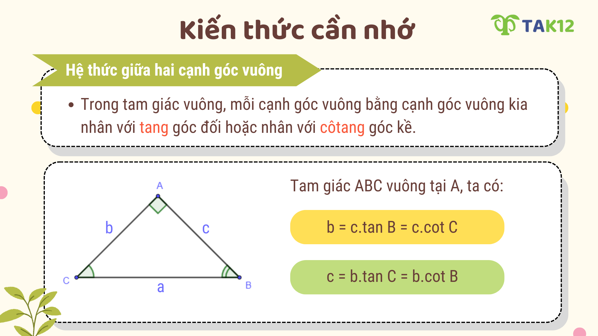 Hệ thức giữa hai cạnh góc vuông