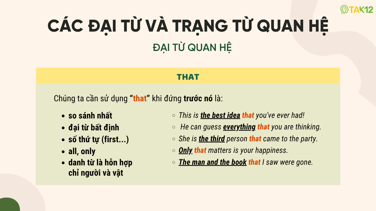 Trường hợp thường dùng that trong mệnh đề quan hệ